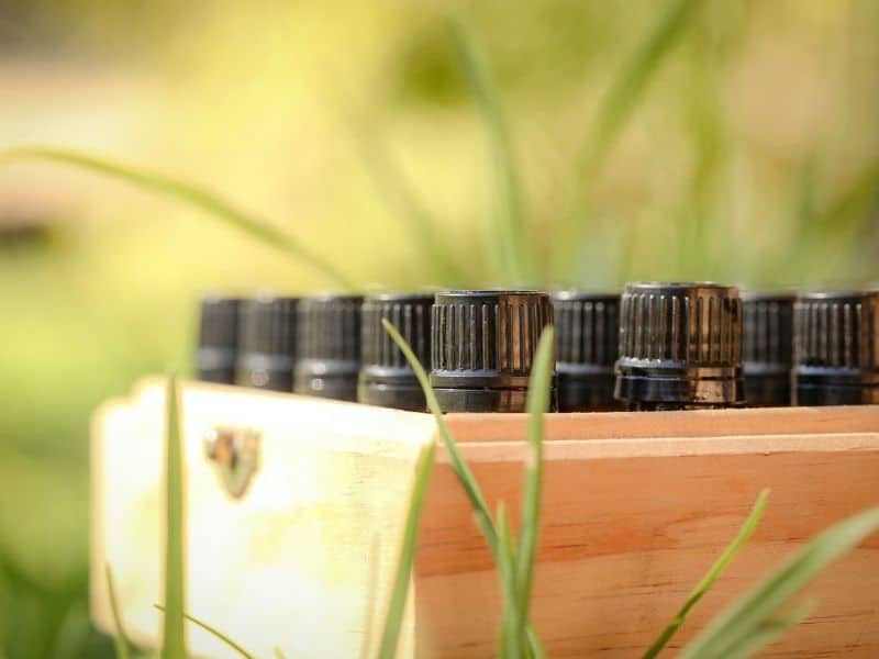 Honeysuckle essential oil