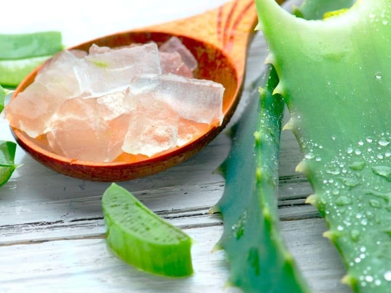 make aloe vera face cream