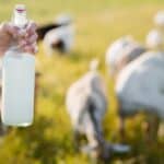 adding milk to soap