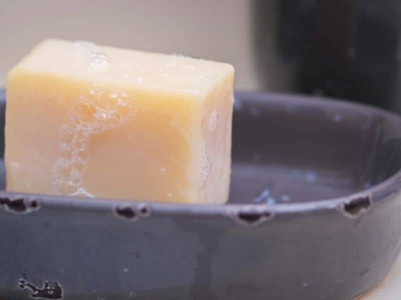 can soap grow mold